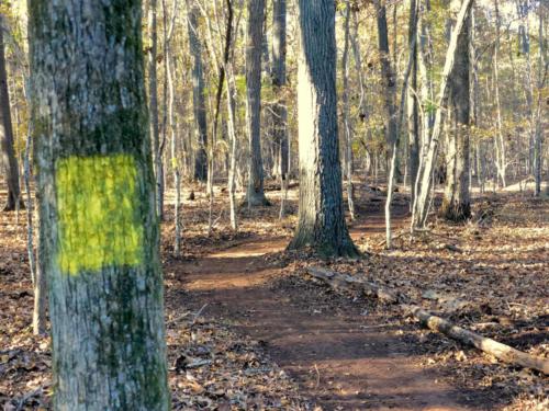 Blazed Trail Markers